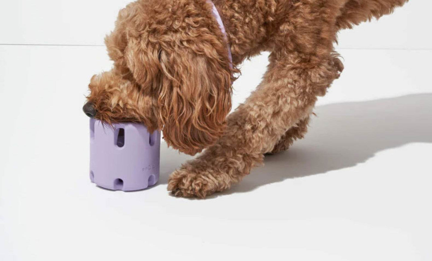 Dog Tennis Cup Natural Rubber Bite-resistant Toys - Here2Save