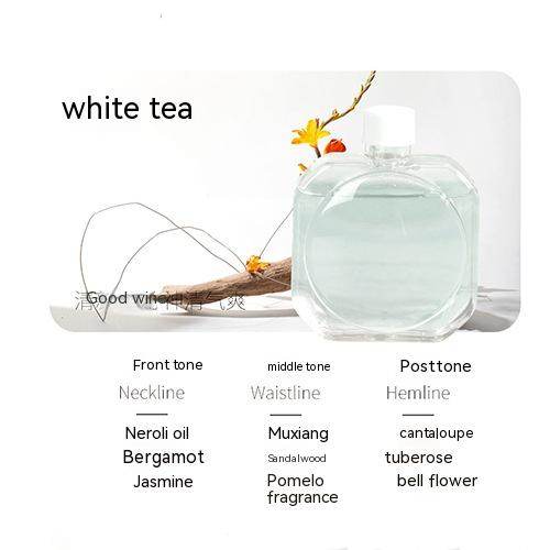 Usb Charging Automatic Fragrance Spray Ultrasonic Aroma Diffuser Hotel Household - Here2Save