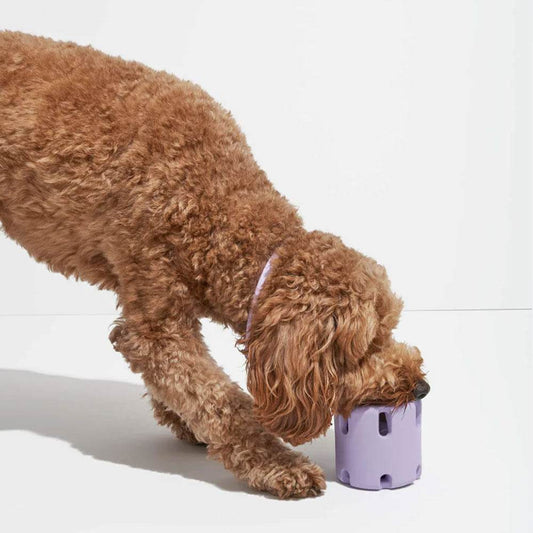 Dog Tennis Cup Natural Rubber Bite-resistant Toys - Here2Save