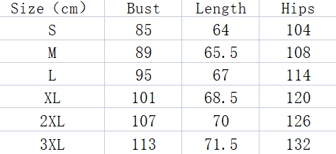 Women's Long Sleeve Shirt Leisure Pullover Slim Lace T-shirt - Here2Save