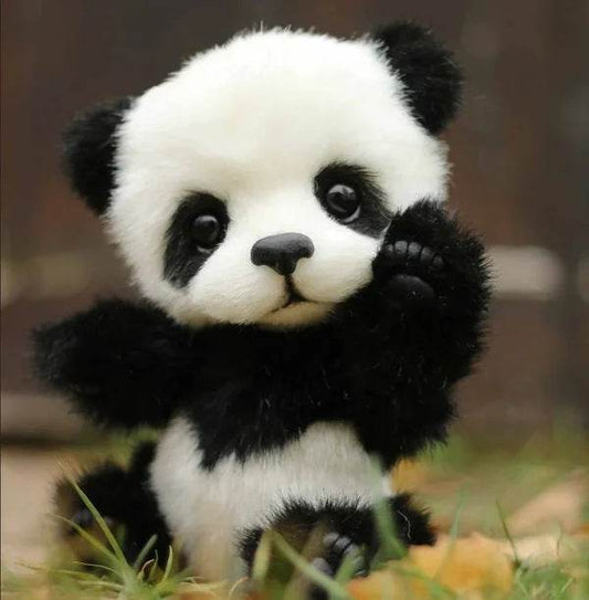 Cotton Plush Doll Black Bear Raccoon Toy - Here2Save