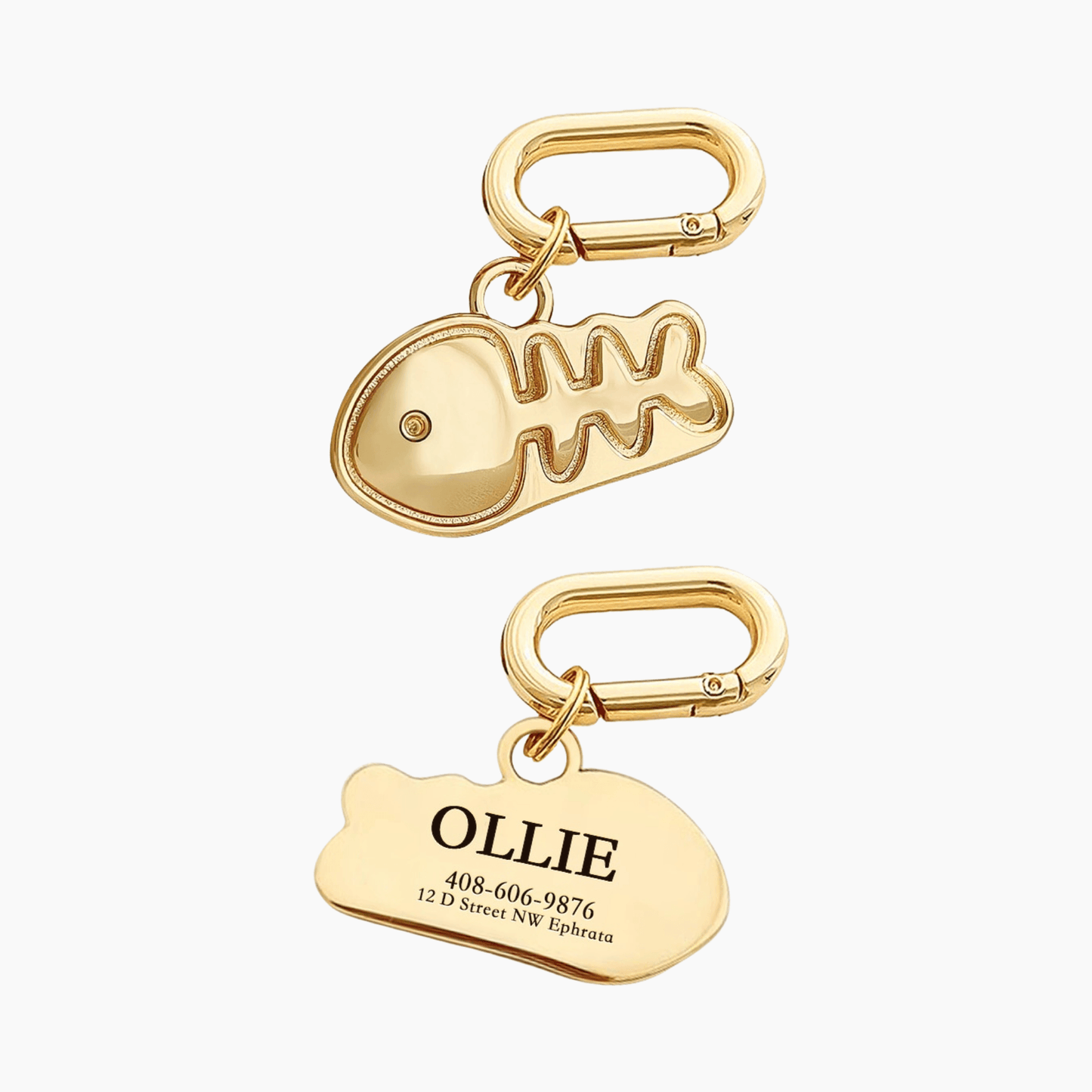 Dog Tag Cat Customized Pet Loss Prevention Brand Hanging Tag - Here2Save