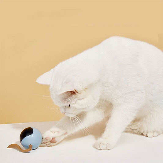 FOS Magic Ball Pet Electric Intelligent Cat Teaser - Here2Save
