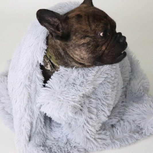 Pet Dog Cat Blankets - Here2Save