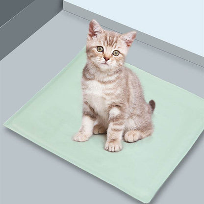 Pet Heating Cat Warm Constant Temperature Electric Winter Blanket Pet Products - Here2Save