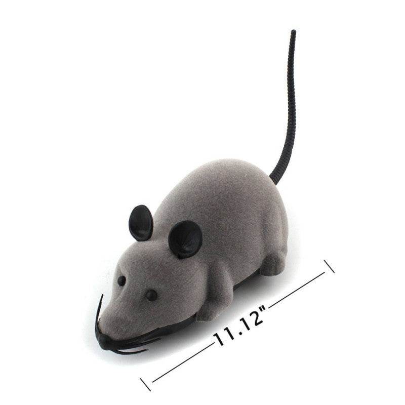 Simulation Remote Control Animal Toy Tricky Mouse Spider Lizard - Here2Save