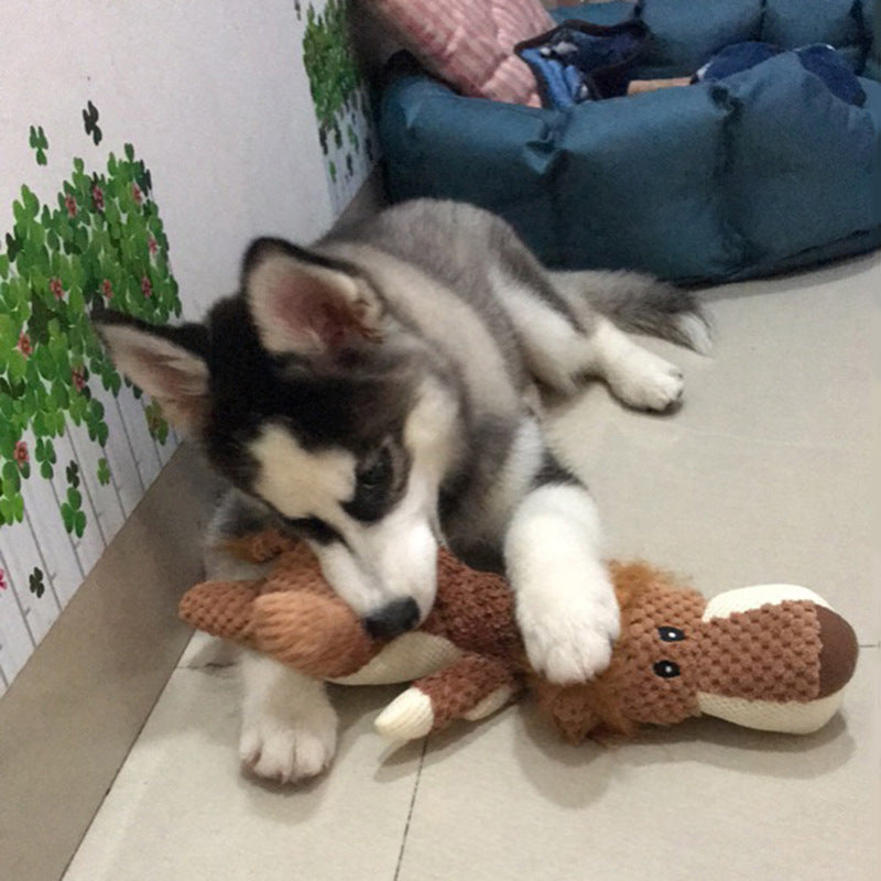 Cachorros de mascotas Productos de felpa para perros resistentes a mordeduras