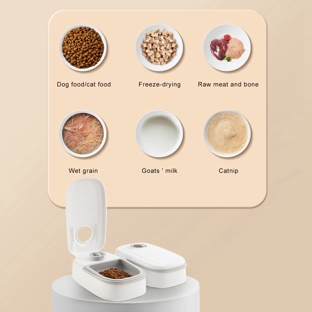 Automatic Pet Feeder Smart Food Dispenser For Cats Dogs Timer Stainless Steel Bowl Auto Dog Cat Pet Feeding Pets Supplies - Here2Save