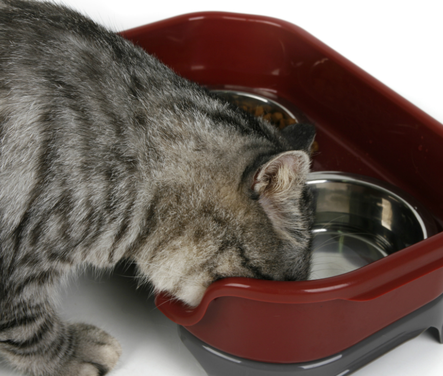 Cuenco para perros y gatos, cuenco doble para mascotas, a prueba de salpicaduras, cuenco de arroz para perros y gatos, cuenco de comida, cuenco de acero inoxidable