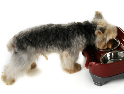 Cuenco para perros y gatos, cuenco doble para mascotas, a prueba de salpicaduras, cuenco de arroz para perros y gatos, cuenco de comida, cuenco de acero inoxidable