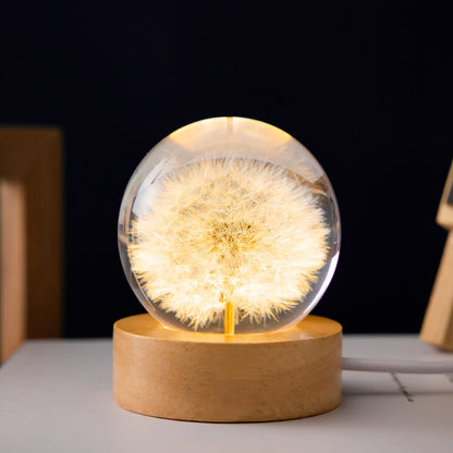 Luminous 3D Dandelion Crystal Ball Beech Wood Stand Base Preserved Flower Sphere Ball Desktop Ornaments Bithday Christmas Gifts - Here2Save