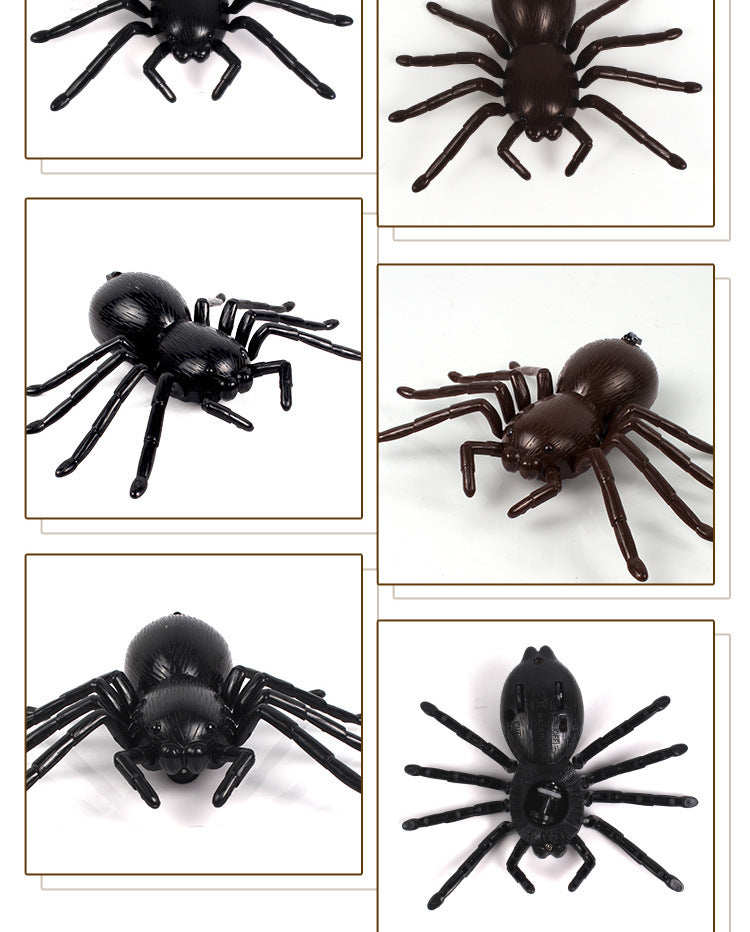 Remote control car spider electronic pet