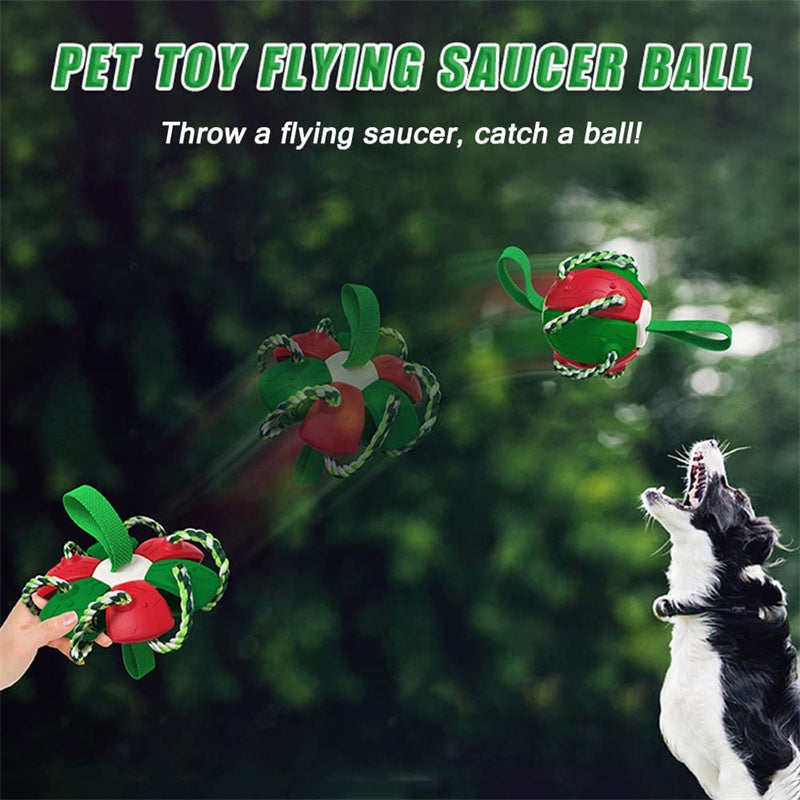 Interactive Dog Football Soccer Ball With Tabs Inflated Training Toy Outdoor Border Collie Balls Pet Products - Here2Save