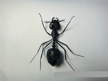 Solar Ant Baby Electronic Pet Toy - Here2Save