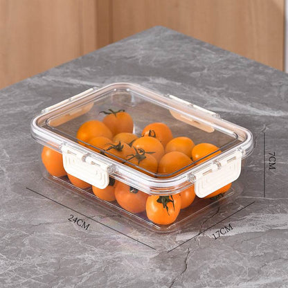 Plastic Thickened Drain Preservation Box - Here2Save