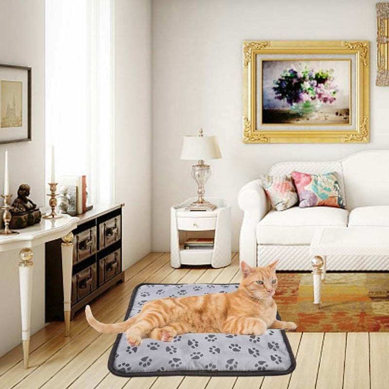 Pet Heating Pad For Dog Cat Heat Mat Indoor Electric Waterproof Dog Heated Pad With Chew Resistant Cord Winter Pet Blanket Warmer - Here2Save