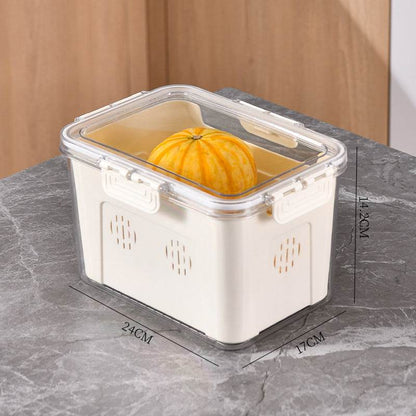 Plastic Thickened Drain Preservation Box - Here2Save
