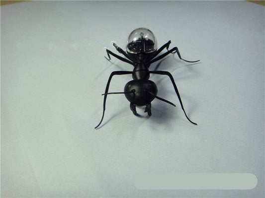 Solar Ant Baby Electronic Pet Toy - Here2Save