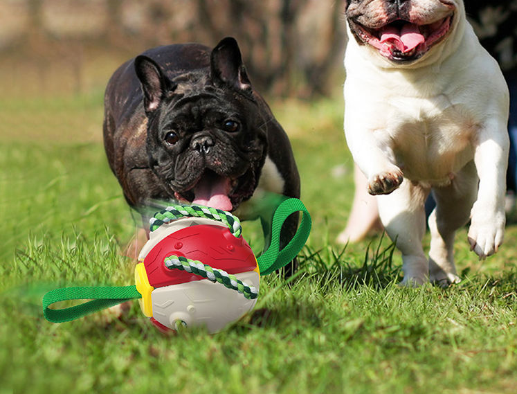 Interactive Dog Football Soccer Ball With Tabs Inflated Training Toy Outdoor Border Collie Balls Pet Products - Here2Save