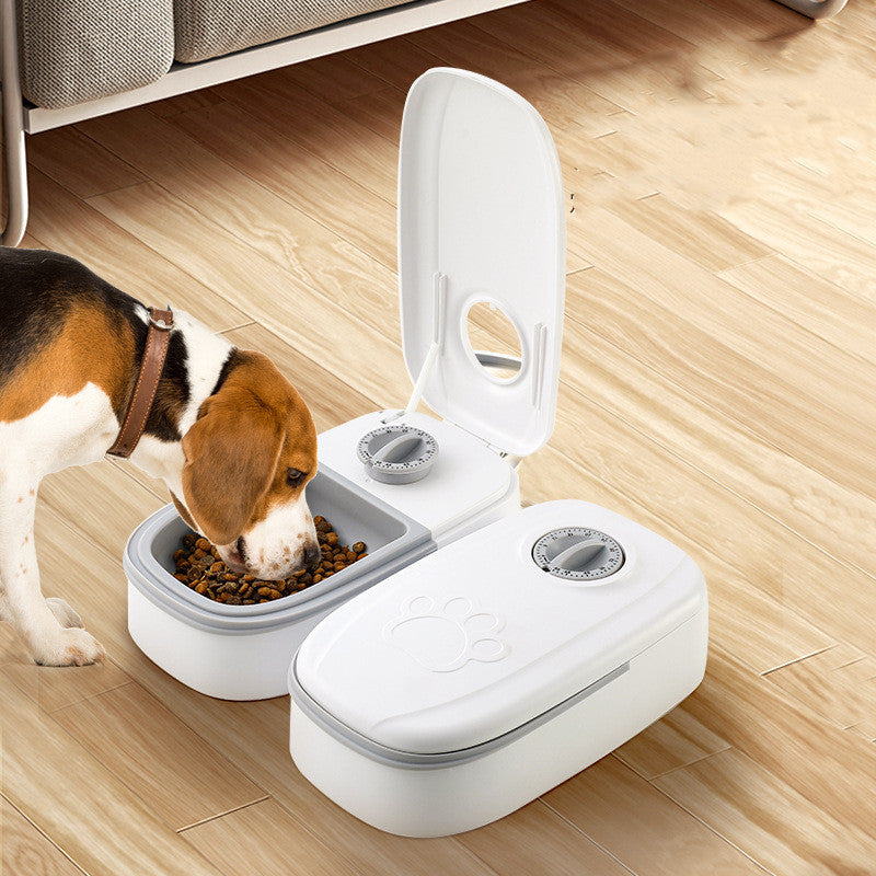 Automatic Pet Feeder Smart Food Dispenser For Cats Dogs Timer Stainless Steel Bowl Auto Dog Cat Pet Feeding Pets Supplies - Here2Save